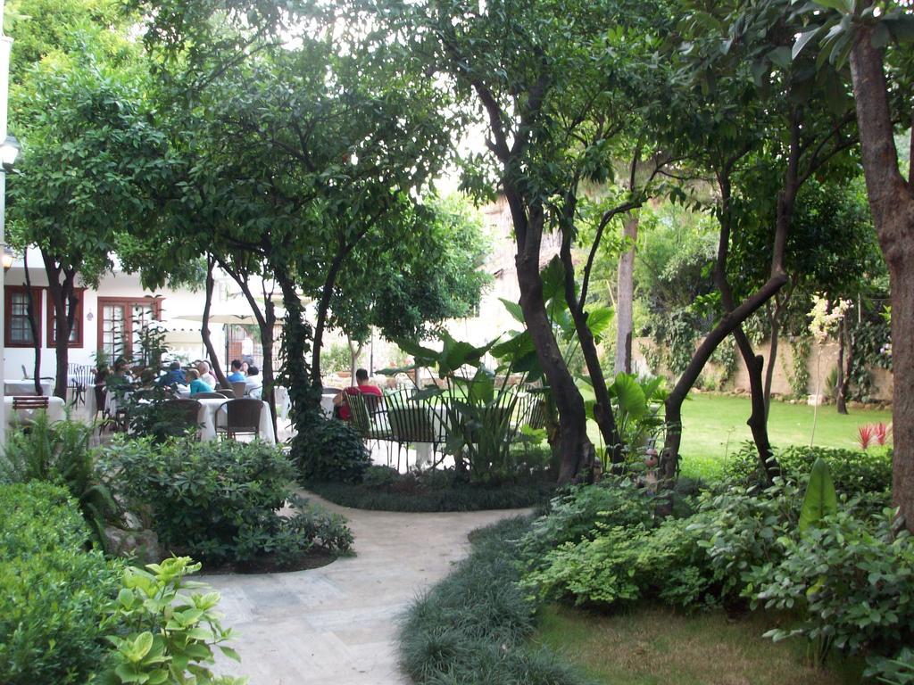 The Ninova אנטליה